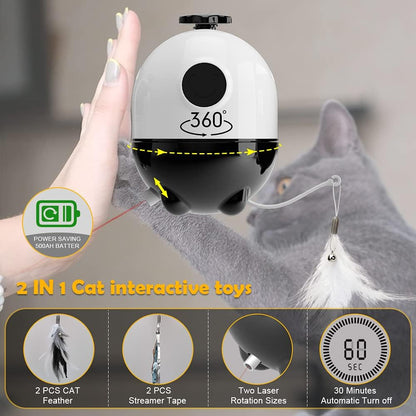 2-1 Laser and Feather Cat toy