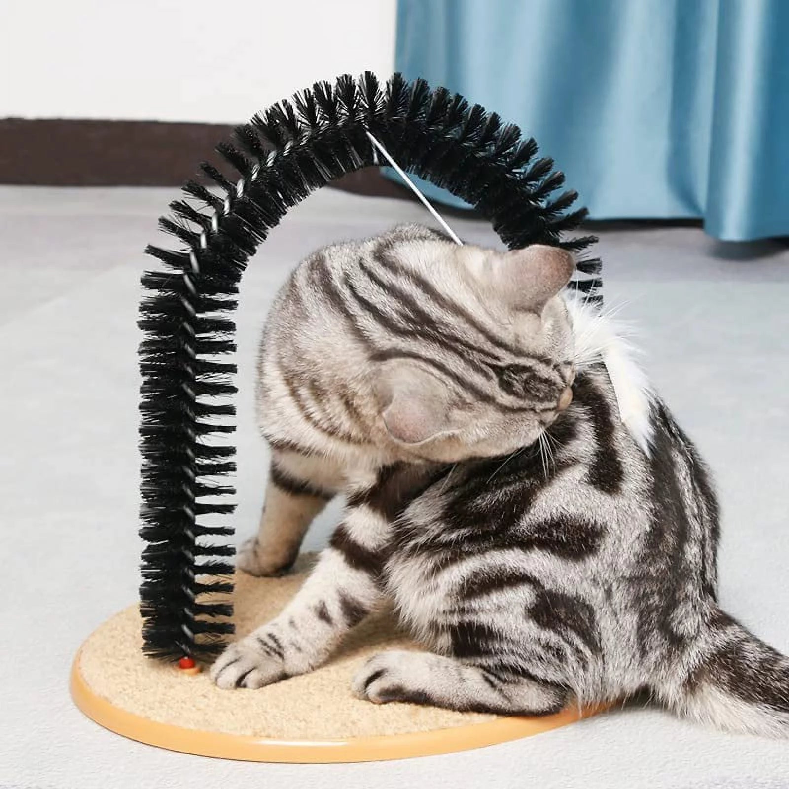 Cat Arch Toy