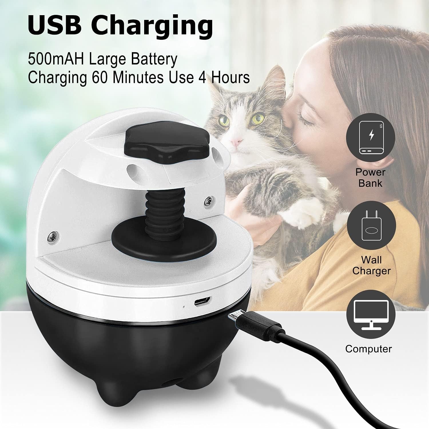 2-1 Laser and Feather Cat toy