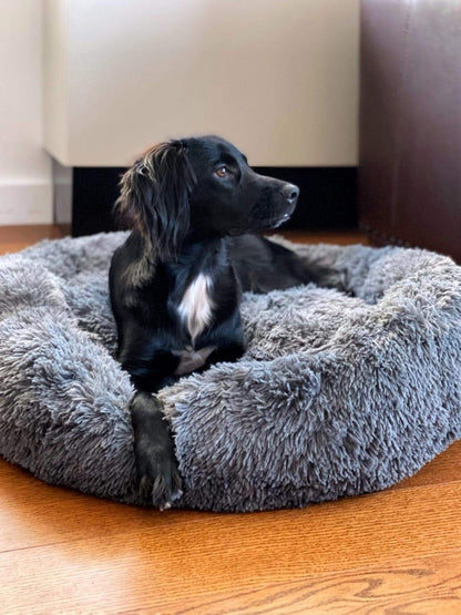 Cat and Dog Fluffy Bed