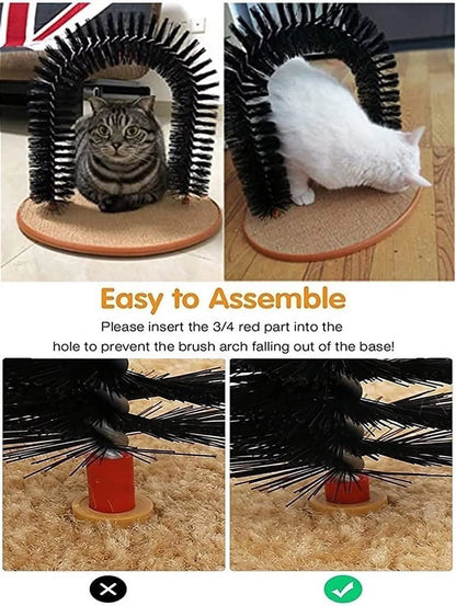 Cat Arch Toy