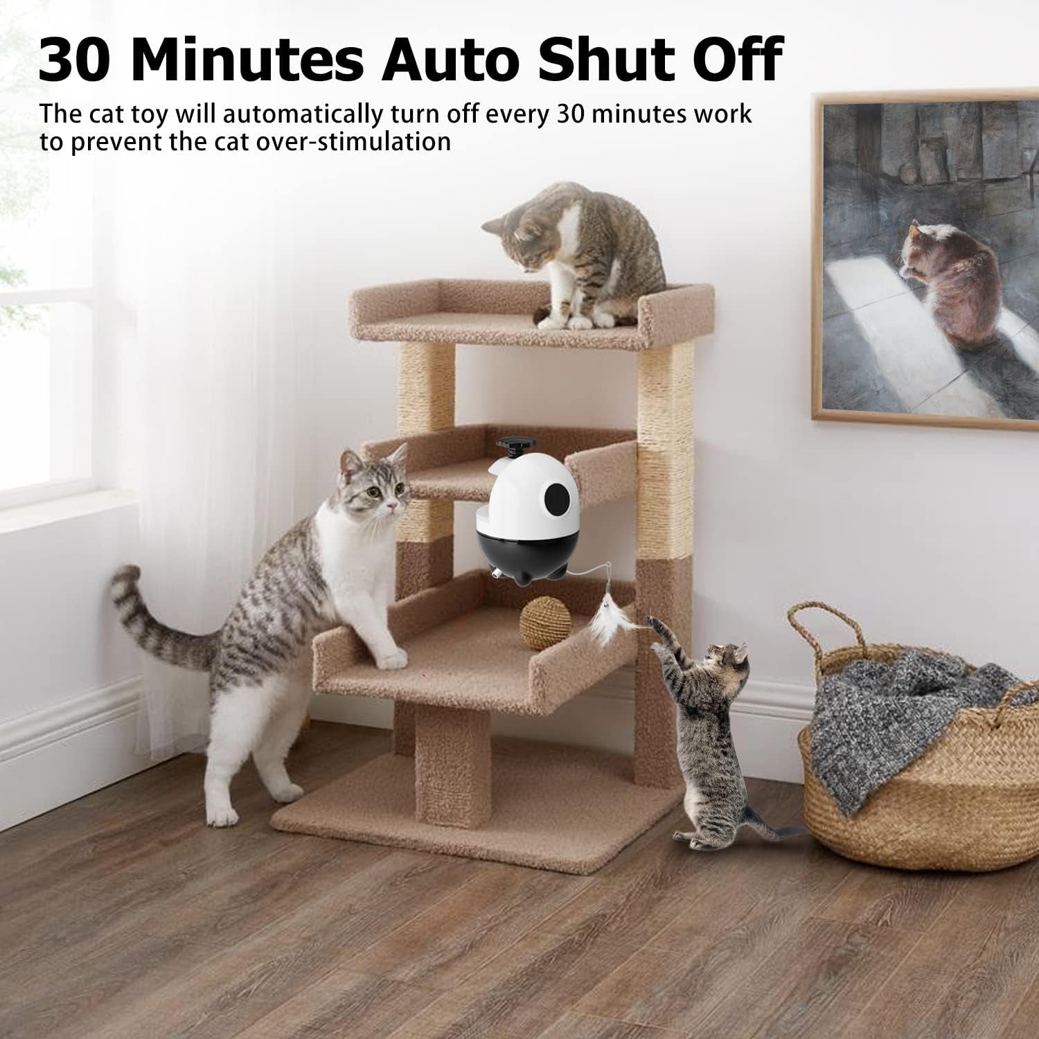 2-1 Laser and Feather Cat toy
