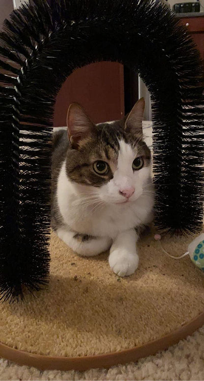 Cat Arch Toy